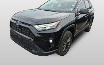 2024 Toyota Rav4 Awd